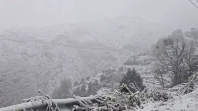 ChakrataSnowfall