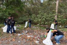 GraphicEraUniversity